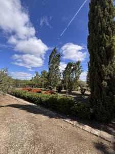 Baugrundstück in Menfi–Lido Fiori mit Zypressen und Hecken